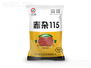 ���s115-�����N��-�����N�I(y��)