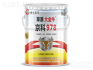 ����978��40000����-���׷N��-�����N�I(y��)