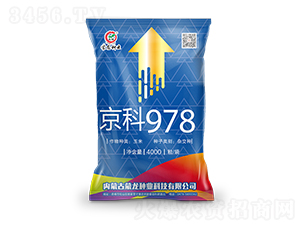 ����978���{(l��n)��-���׷N��-�����N�I(y��)