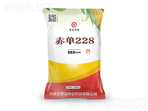 赤單228-玉米種子-蒙龍種業(yè)