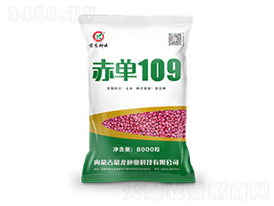 ����109-���׷N��-�����N�I(y��)