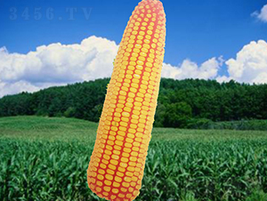 ����668-���׷N��-�����N�I(y��)