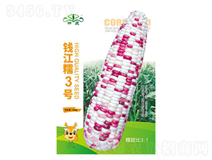 �X��Ŵ3̖(h��o)���׷N��-��¹�N�I(y��)