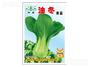 �Ͷ�-�๣�˷N��-��¹�N�I(y��)