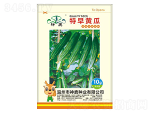 �����S��-�S�ϷN��-��¹�N�I(y��)