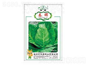 �������{(l��n)�N��-��¹�N�I(y��)