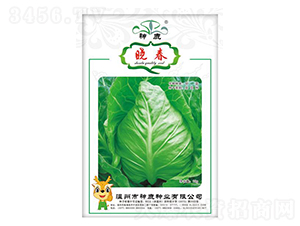 �Դ����{(l��n)�N��-��¹�N�I(y��)