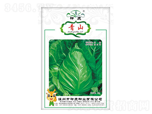 ��ɽ���{(l��n)�N��-��¹�N�I(y��)