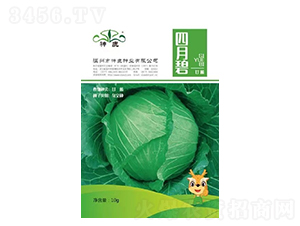 ���±̸��{�N��-��¹�N�I(y��)