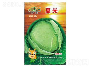 �Ĺ���{�N��-��¹�N�I(y��)