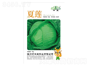 ��ɏ���{�N��-��¹�N�I(y��)