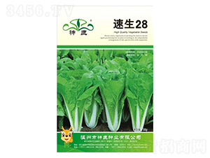 ����28��˷N��-��¹�N�I(y��)