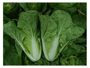 �����̖��˷N��-��¹�N�I(y��)