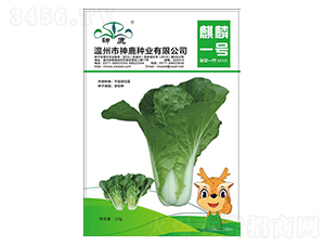 ����һ̖��˷N��-��¹�N�I(y��)