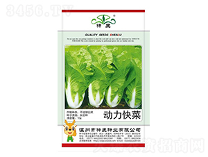 ������˷N��-��¹�N�I(y��)