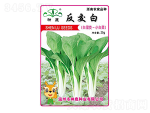 �����װײ˷N��-��¹�N�I(y��)