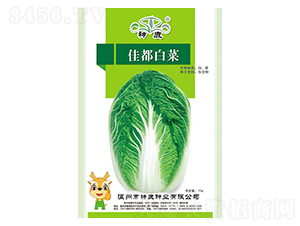 �Ѷ��ײ˷N��-��¹�N�I(y��)