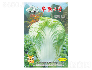 ����6̖�ײ˷N��-��¹�N�I(y��)