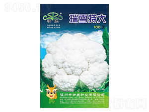 ��ѩ100��-��Ҭ�˷N��-��¹�N�I(y��)