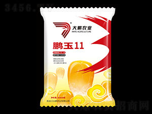 �i��11-���׷N��-���i�r(n��ng)�I(y��)