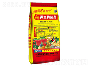 ����֬΢�������-�𝙰l(f��)