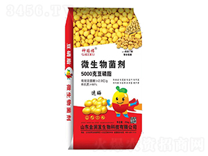 �C����΢�������-�𝙰l(f��)