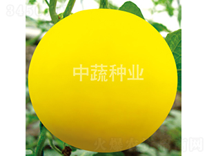 ���һ̖(h��o)-���ϷN��-���߷N�I(y��)