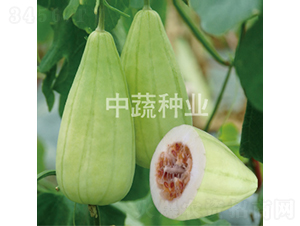 ����ţ-��ϷN��-���߷N�I(y��)