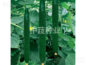 ���r(n��ng)6̖(h��o)-�S�ϷN��-���߷N�I(y��)