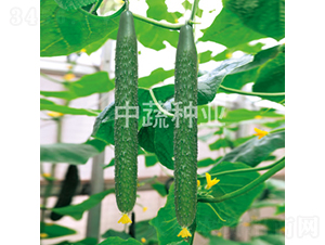 ���r(n��ng)38̖(h��o)-�S�ϷN��-���߷N�I(y��)