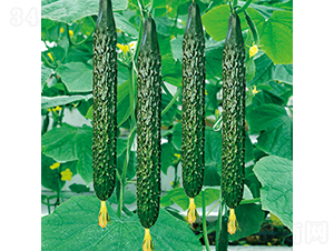 ���r(n��ng)72̖(h��o)-�S�ϷN��-���߷N�I(y��)