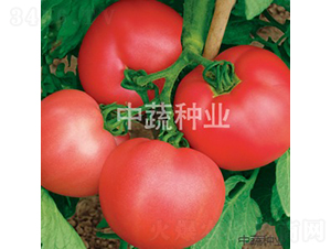 ���s9̖(h��o)-���ѷN��-���߷N�I(y��)