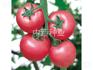 ���s301-���ѷN��-���߷N�I(y��)