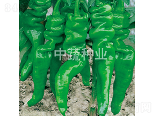 �н�209̖-�����N��-���߷N�I(y��)