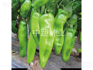 �н�ţ��1̖(h��o)-�����N��-���߷N�I(y��)