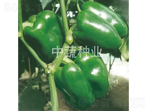 �н�4̖(h��o)-�𽷷N��-���߷N�I(y��)