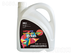 ΢�������-������-�{(l��n)�