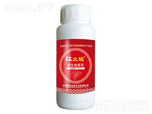 ΢�������-�t��-�{�