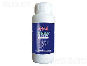 ΢�������-������������tݮ-�{�