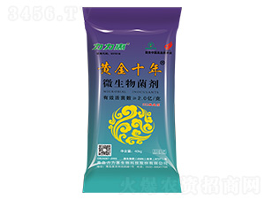 552撒施型微生物菌劑-黃金十年