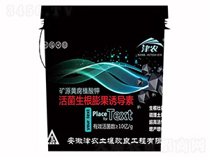 �����������T��(d��o)��-���r(n��ng)