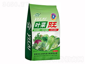 �~����-���r(n��ng)