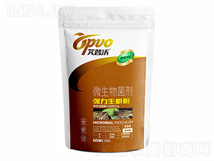 ��(qi��ng)��������-�I(y��)�r(n��ng)