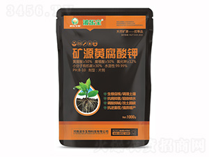 �VԴ�S�����-��������