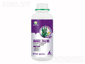 ����Ԫ��ˮ�ܷ���-����13Ԫ��-��������