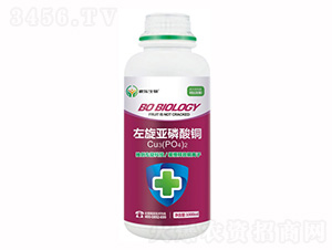 ΢�������-�����������~-��������