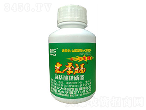 ����������֬-�r(n��ng)����-��(r��n)����