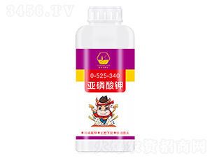 �������-����������