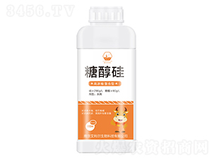 �Ǵ���-����������