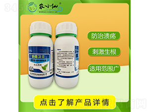 �����l(w��i)ʿ��������Ν�������-�r(n��ng)С��-�f��GԴ